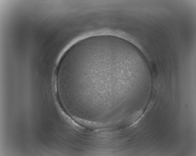 X0000062831510200601171406