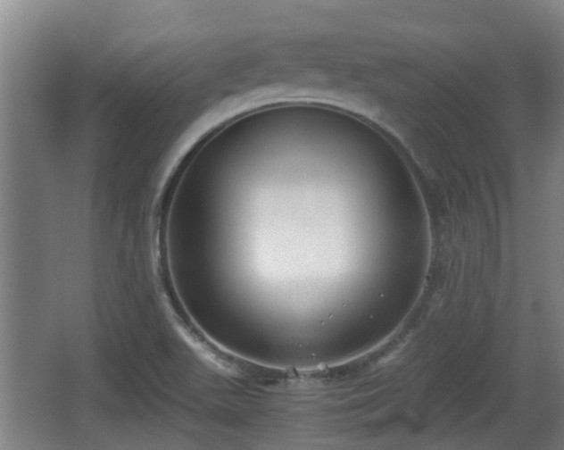 X0000062831511200601171406