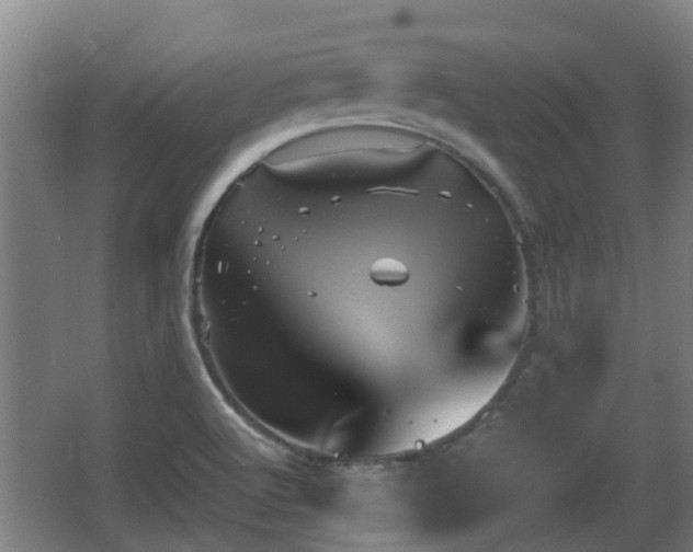 X0000062831512200601171406