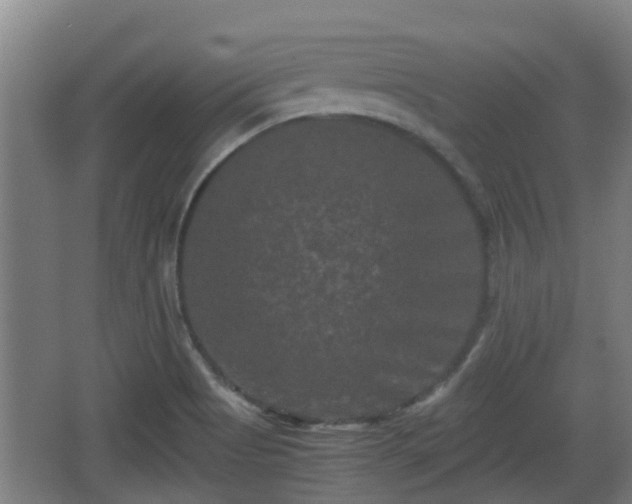 X0000062831513200601171406