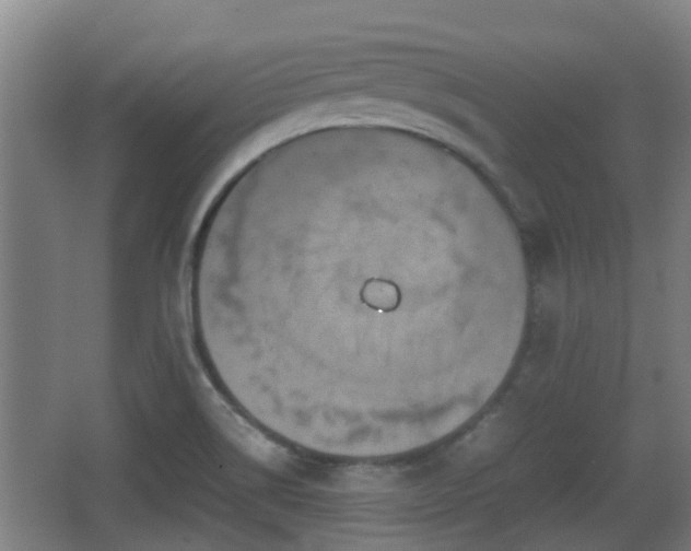 X0000062831514200601171406