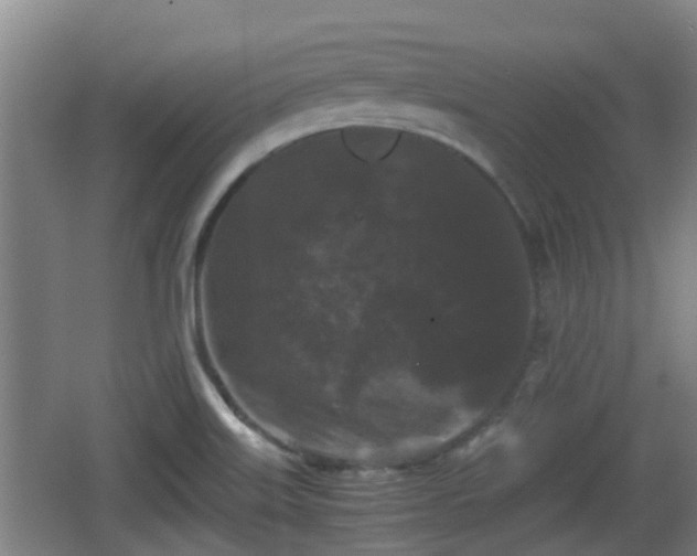 X0000062831515200601171406