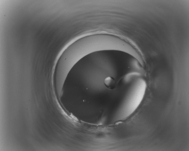 X0000062831516200601171406