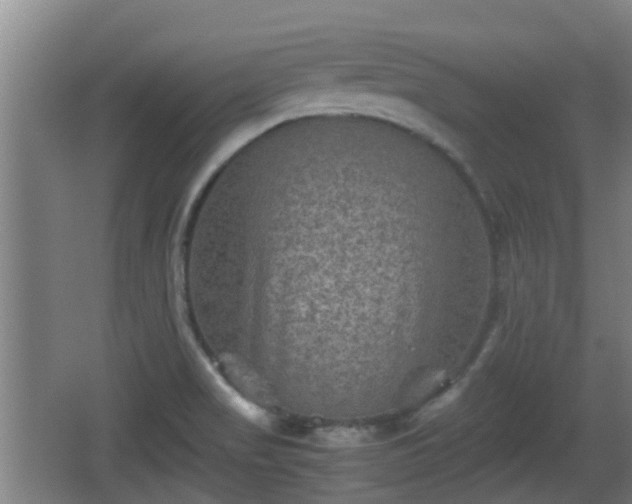 X0000062831517200601171406