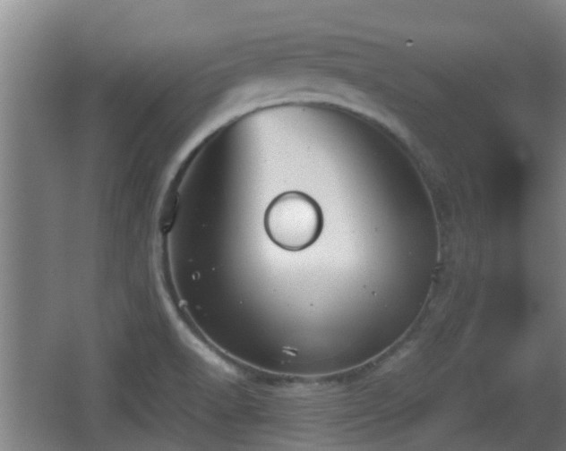 X0000062831518200601171406