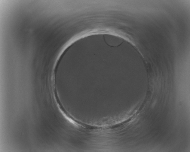 X0000062831519200601171406