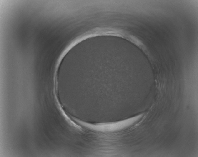 X0000062831520200601171406