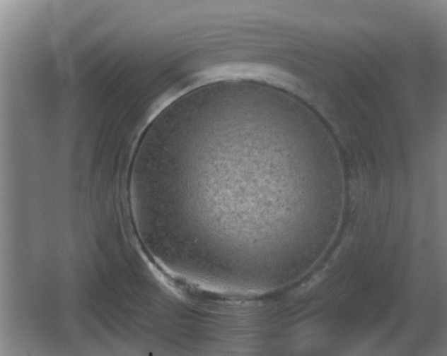 X0000062831521200601171406