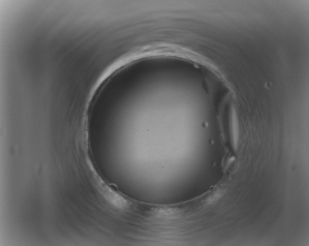 X0000062831522200601171406