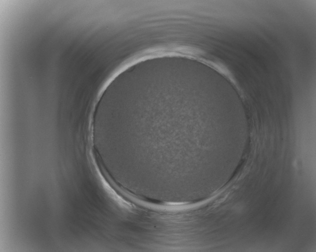 X0000062831524200601171406