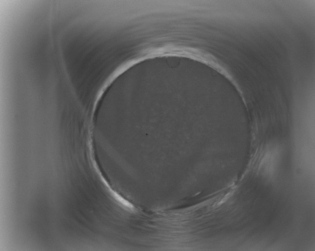 X0000062831525200601171406