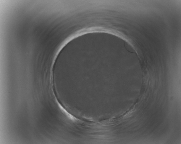 X0000062831527200601171406