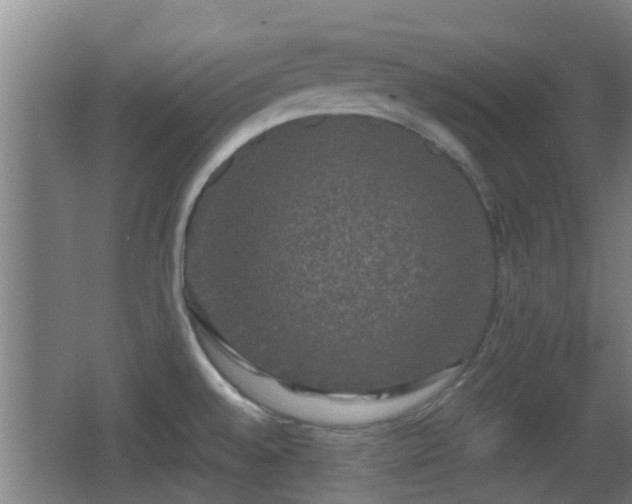 X0000062831528200601171406