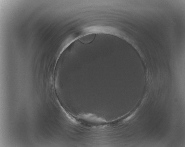 X0000062831529200601171406