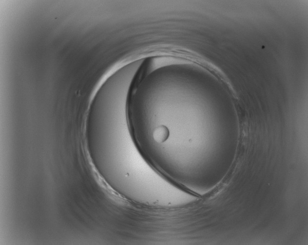 X0000062831530200601171406