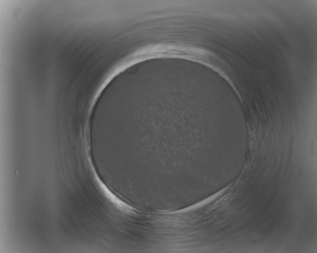 X0000062831531200601171406