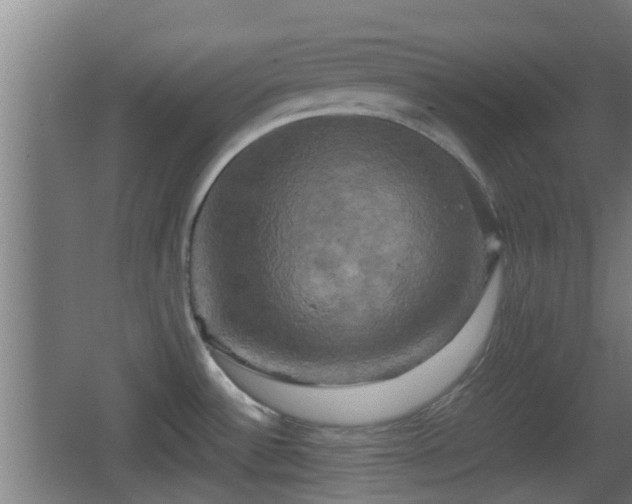 X0000062831532200601171406