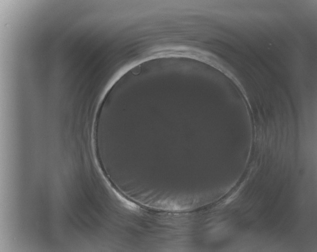 X0000062831533200601171406