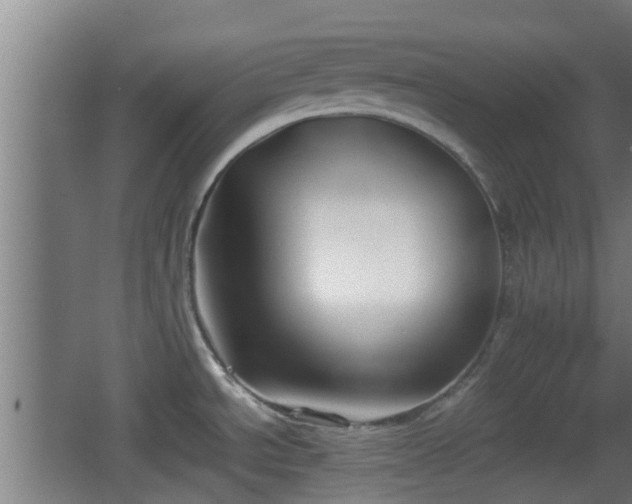 X0000062831534200601171406