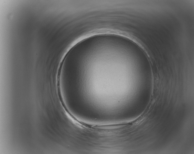 X0000062831535200601171406