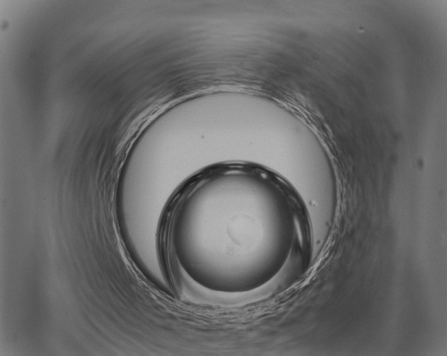 X0000062830001200601201624