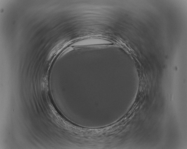 X0000062830002200601201624