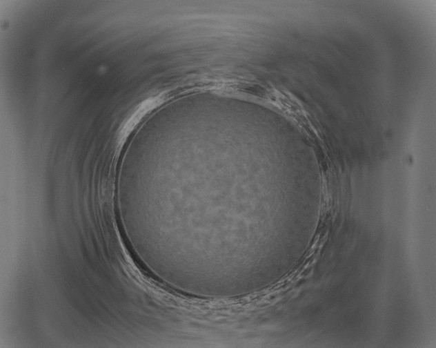 X0000062830003200601201624