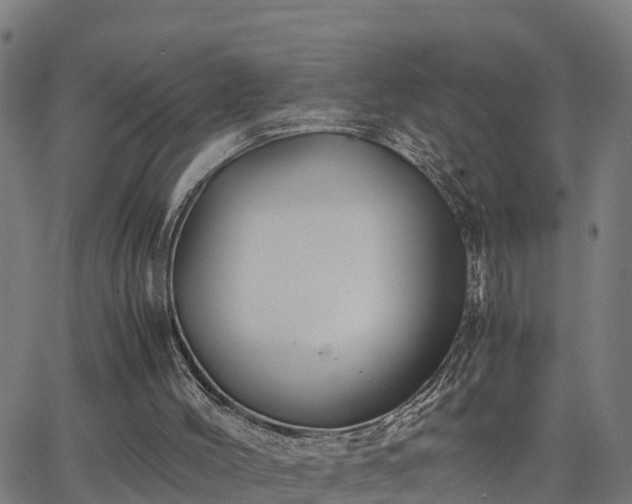 X0000062830004200601201624