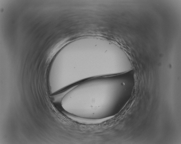 X0000062830005200601201624