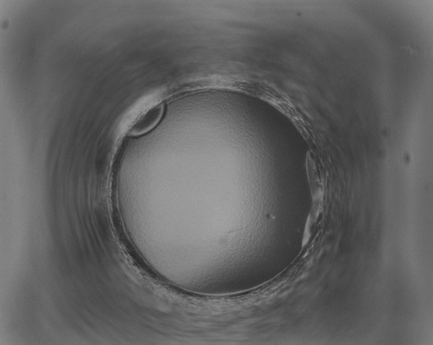 X0000062830006200601201624