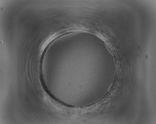 X0000062830007200601201624