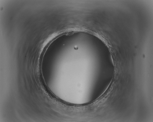 X0000062830008200601201624