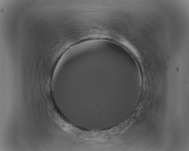 X0000062830009200601201624