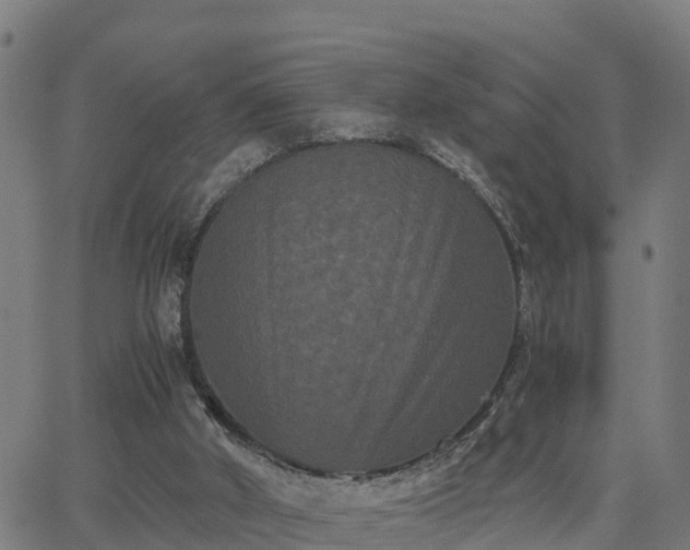 X0000062830010200601201624