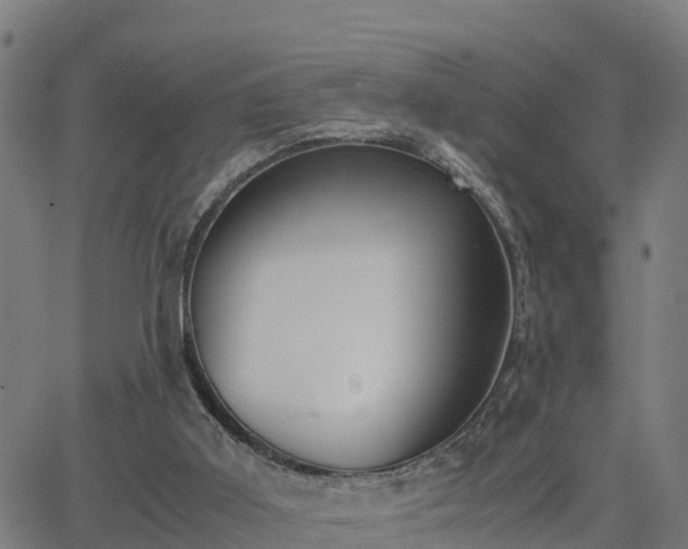 X0000062830011200601201624