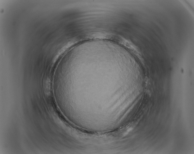 X0000062830012200601201624