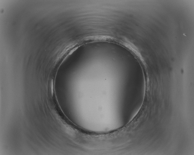 X0000062830013200601201624