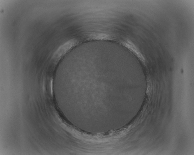 X0000062830014200601201624