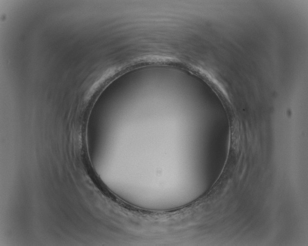 X0000062830015200601201624