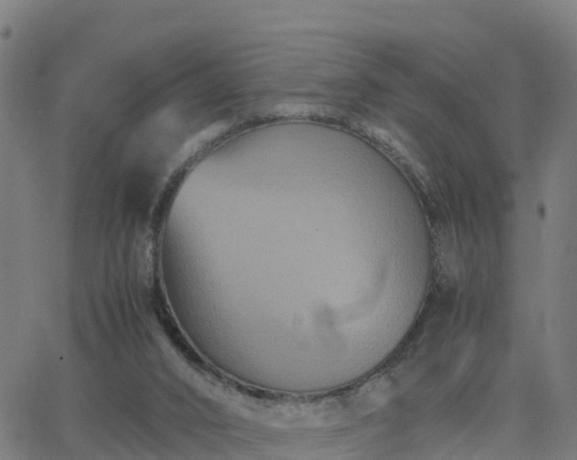 X0000062830016200601201624