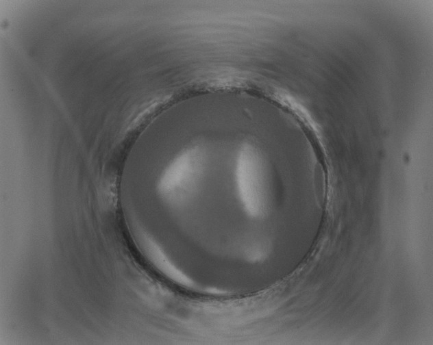 X0000062830017200601201624