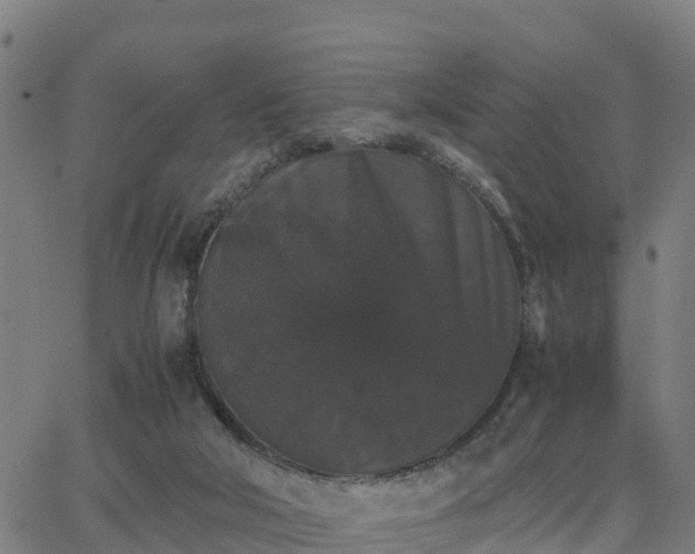 X0000062830018200601201624