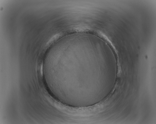 X0000062830019200601201624