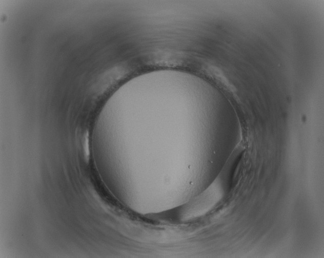 X0000062830020200601201624