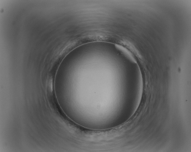 X0000062830021200601201624