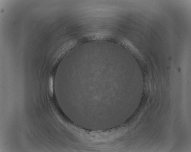 X0000062830022200601201624