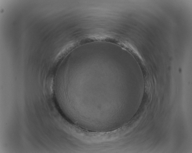 X0000062830023200601201624