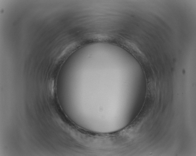 X0000062830024200601201624