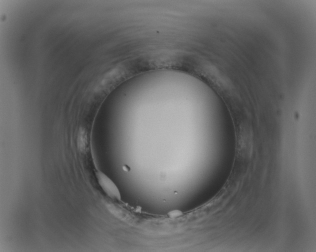 X0000062830025200601201624