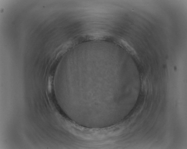 X0000062830026200601201624